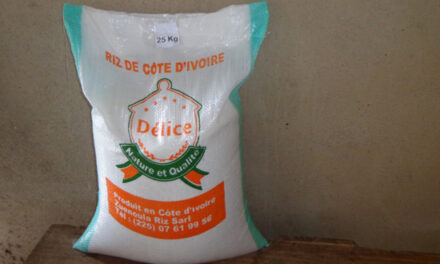 Côte d’Ivoire: Bientôt une agence pour le développement de la filière riz
