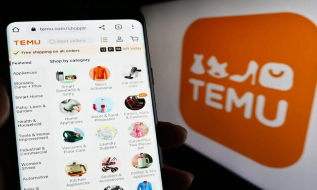 Nigeria : le chinois Temu s’impose sur le marché de l’e-commerce