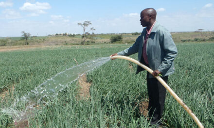 Kenya: 104 millions de shillings pour soutenir la petite agriculture