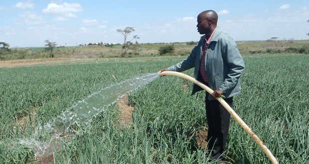 Kenya: 104 millions de shillings pour soutenir la petite agriculture