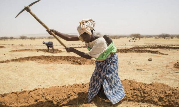 Foncier :  L’Afrique, continent le plus touché par les achats agricoles