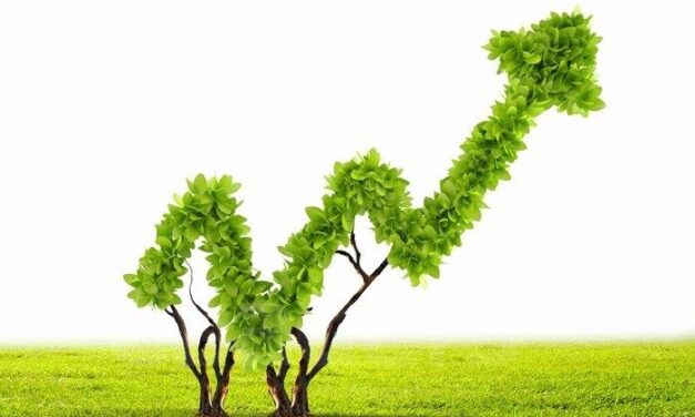 Agriculture : Pour une meilleure révolution verte