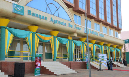 Burkina: Une banque agricole  pour financer les acteurs  du secteur