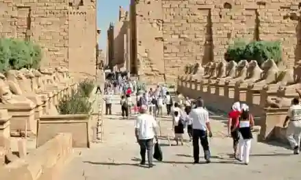 Tourisme: Regain d’engouement pour la destination Afrique