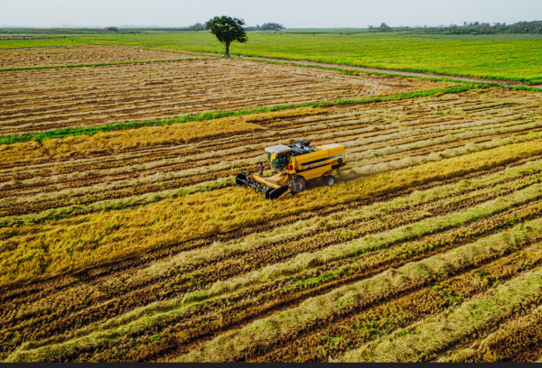 Nigeria : participation de la Banque africaine de développement à la cérémonie inaugurale de la zone spéciale de traitement agro-industriel dans l’État d’Oyo