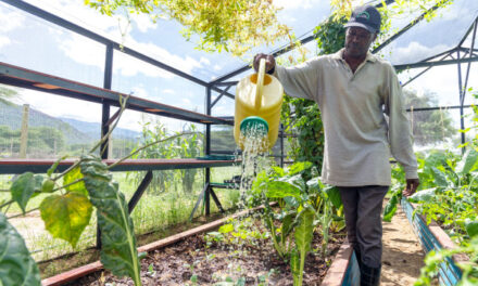 Rwanda : la Banque africaine de développement et le Fonds Vert pour le Climat collaborent pour soutenir des projets verts et climato-résilients