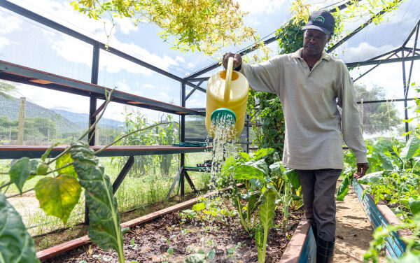 Rwanda : la Banque africaine de développement et le Fonds Vert pour le Climat collaborent pour soutenir des projets verts et climato-résilients