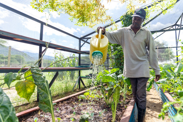 Rwanda : la Banque africaine de développement et le Fonds Vert pour le Climat collaborent pour soutenir des projets verts et climato-résilients