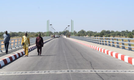 Le pont sur le fleuve Logone, une renaissance attendue par des millions de personnes en Afrique centrale