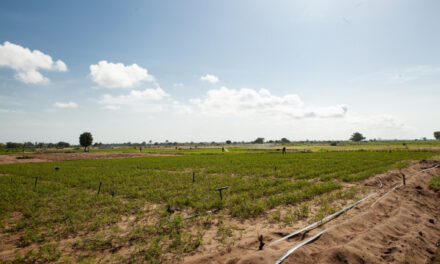 Au Bénin, le Fonds africain de développement contribue à moderniser l’activité agricole dans la vallée de l’Ouémé