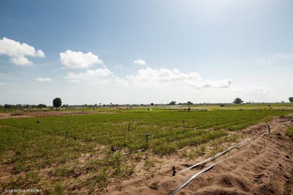 Au Bénin, le Fonds africain de développement contribue à moderniser l’activité agricole dans la vallée de l’Ouémé