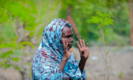 « La terre, c’est la vie » : à Djibouti, un projet régional soutenu par la Banque africaine de développement renforce la résilience climatique des femmes rurales