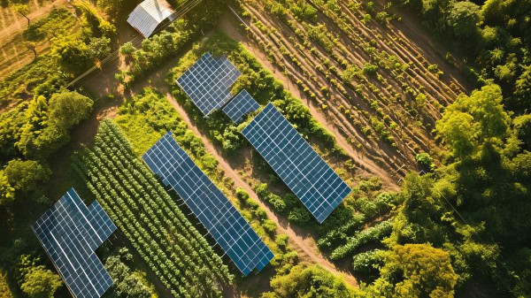 Mission 300 : le Sommet africain de l’énergie annonce d’importantes nouvelles promesses de dons en faveur du Fonds pour l’énergie durable en Afrique