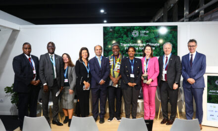 Financement climatique transformateur pour l’Afrique : mobiliser de nouveaux partenariats et nourrir de nouvelles ambitions lors de la Conference of the Parties (COP) 29 à Bakou