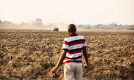 Zambie : la Banque africaine de développement accorde un prêt de 108 millions de dollars pour renforcer la gouvernance économique