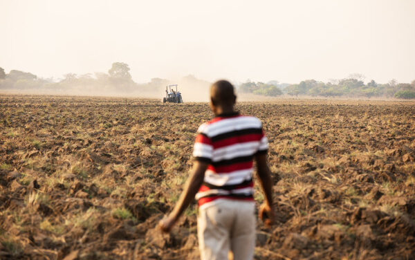 Zambie : la Banque africaine de développement accorde un prêt de 108 millions de dollars pour renforcer la gouvernance économique