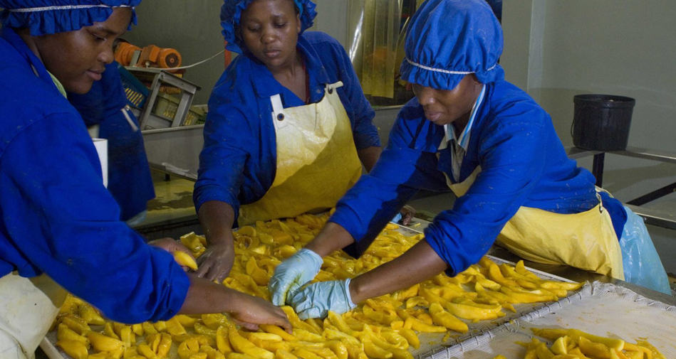 Rwanda: Deux nouveaux produits de financement agricole de la Banque de Kigali