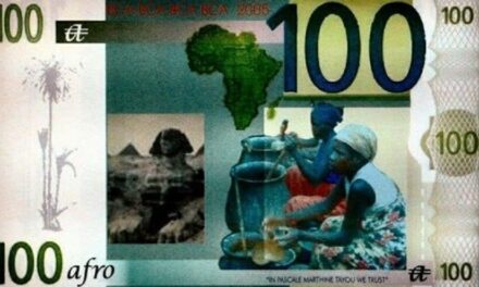 Dernière : Bientôt une monnaie africaine pour 2020