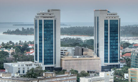 Tanzanie : Feu vert des banques pour financer la relance post-Covid