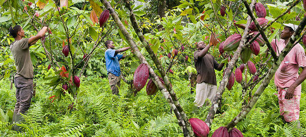 Une niche d’opportunités