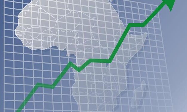 La croissance reprend en Afrique,mais lentement…