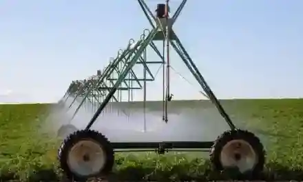 Egypte : la Banque mondiale à la rescousse de systèmes d’irrigation modernes